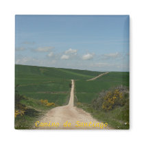 Camino de Santiago magnets