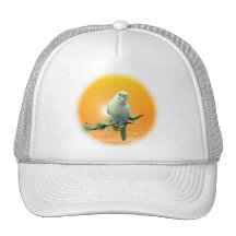 Camisa de oro del Parakeet Gorros Bordados