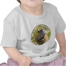 Camiseta del bebé de la foto del castor