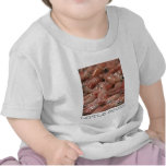 Camiseta del niño del calamar
