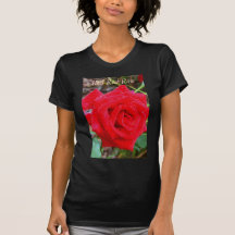 Camiseta roja del rosa rojo