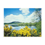 Camlough Lough, County Down, Ireland  flowers postcards