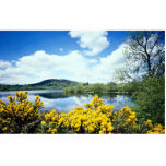 Camlough Lough, County Down, Ireland Photo Cutout