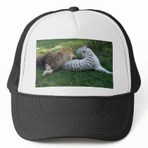 CamNzabu012 Mesh Hats