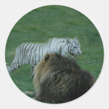 CamNzabu026 Round Sticker