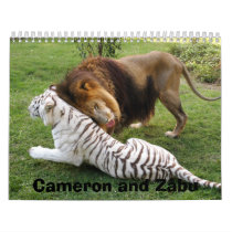 CamNzabu029, Cameron and Zabu calendars