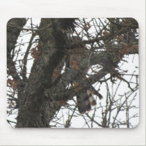 Camo Hawk Mousepad mousepads