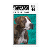 Camo, the Brindle American Pit Bull Dog Stamp