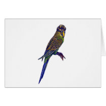 Camoflage Budgie Greeting Cards
