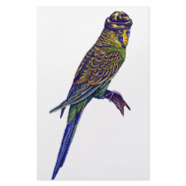 Camoflage Budgie stationery