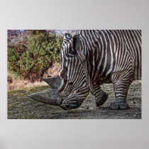 Camoflage Poster