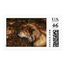 camoflauge companion postage by lissame73 camoflauge companion postage