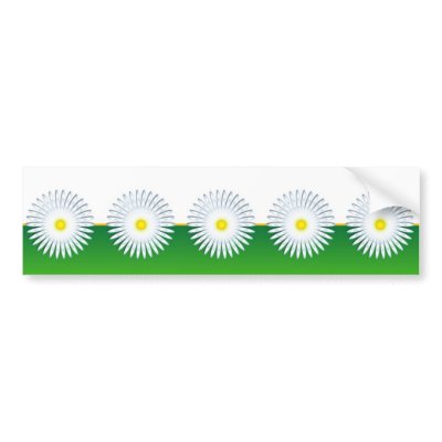 Camomile 2 bumper stickers by Lidusik
