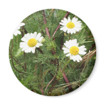 camomile fridge magnet