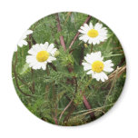 camomile fridge magnet