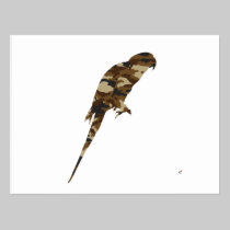 Camouflage Parakeet Silhouette postcards