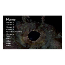 Camouflaged eye of the scorpion fish business card