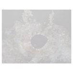 Camouflaged eye of the scorpion fish letterhead