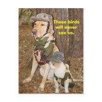 Camouflaged Hunters postcards