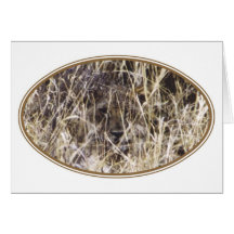 Camouflaged Simba (Lion) Greeting Cards