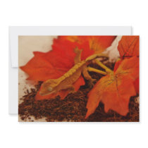 Camouflaging Crested Gecko Personalized Invite