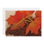 Camouflaging Crested Gecko Personalized Invite