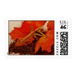 Camouflaging Crested Gecko Postage Stamp