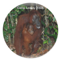Camp Leakey 2008 stickers