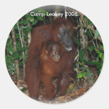 Camp Leakey Wildlife Round Sticker