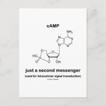 camp molecule