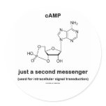 cAMP {Molecule} Just A Second Messenger Round Stickers