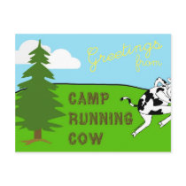 Camp Running Cow - Postcard
