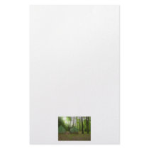 Camp Stationary Customized Stationery