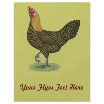 Campine:  Golden Hen Full Color Flyer