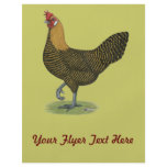 Campine:  Golden Hen flyers