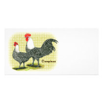 Campine:  Silver photo cards