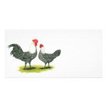 Campine:  Silver Picture Card