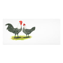 Campine:  Silver Rack Card