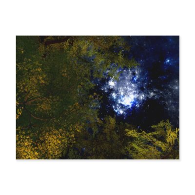 Camping Under The Stars Postcard by 3dartwork