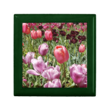 Campo de los tulipanes joyería y de la caja de reg caja de joyas