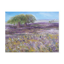 Campo Primaveril postcards