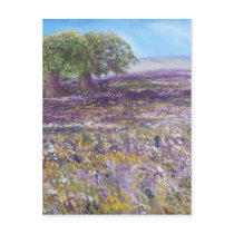 Campo Primaveril postcards