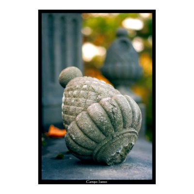 Campo Santo Print by Dimi15