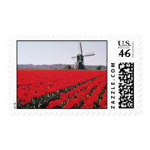 Campos blancos del bulbo, flores de Holanda Franqueo