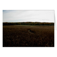 Campos de granja de Blank_Zephyr Tarjeton