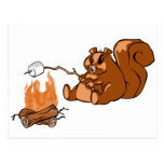 Campsite Beaver Postcard