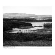 Campus from across Wildlife Pool, Irvine, 1967 print
