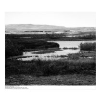 Campus from across Wildlife Pool, Irvine, 1967 posters by ucrcmp Campus from across Wildlife Pool, Irvine, 1967 posters