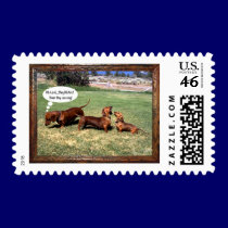 Can Doxies Sing? Maybe not............ stamps