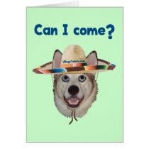 Can I Come Dog Greeting Cards
